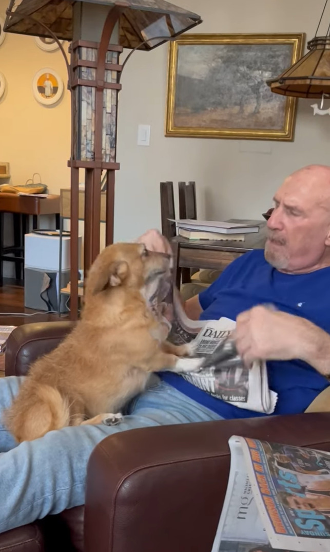 新聞を読みたいパパさんVSかまって欲しい愛犬。必死な愛犬の姿にパパさんがかまってあげないわけがありませんでした！！