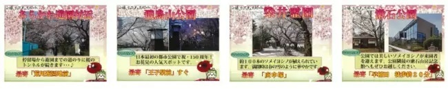 3年ぶりに「都電さくら号」運行、車内に桜をモチーフとしたステッカーを装飾