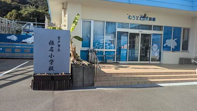 来場者数は年間10万人近く！高知県室戸にある「廃校水族館」に行ってみたら、想像以上に楽しかった！