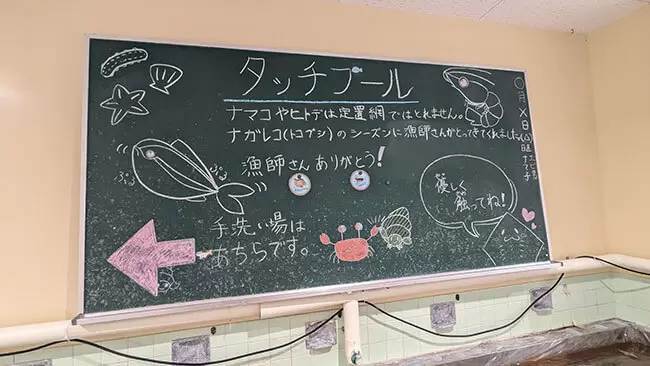 来場者数は年間10万人近く！高知県室戸にある「廃校水族館」に行ってみたら、想像以上に楽しかった！