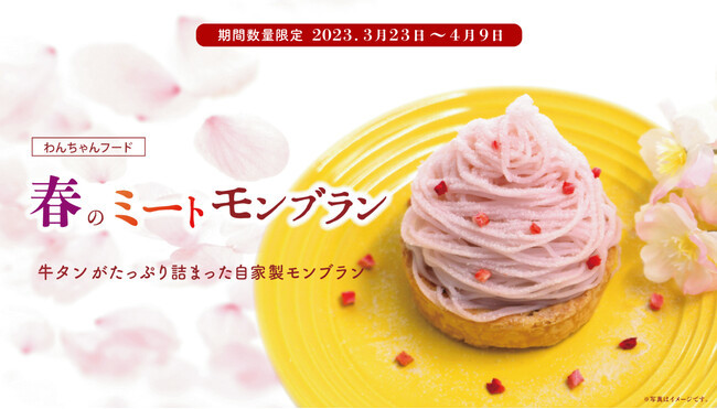春をわんちゃんと楽しむ!桜色の『春のミートモンブラン』期間限定発売のお知らせ!