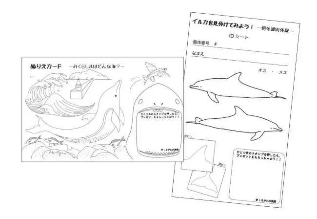 しながわ水族館、「イルカがいるから御蔵島にいこう展」開催