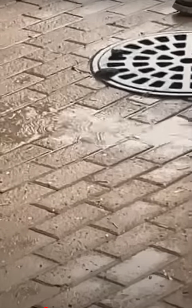 雨が降る中、マンホールの蓋の穴から小さな手が出現！！中から助けを求める手の主の運命は？