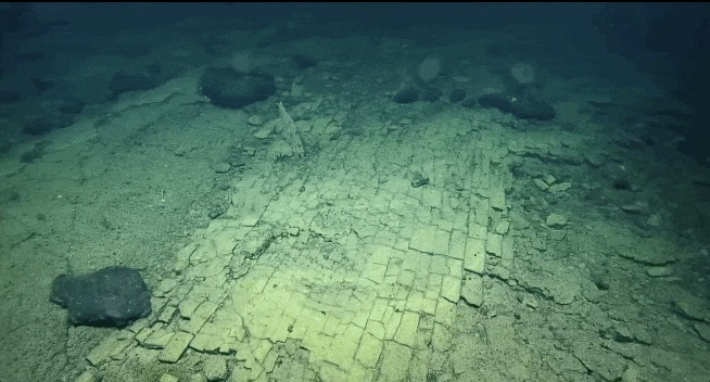 ハワイ沖海底3000mに「黄色いレンガ道」を発見⁉︎ その正体とは？