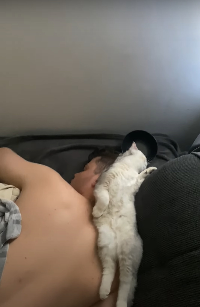 うつ伏せで寝ているパパさんの首の上でくつろいでいる猫。この後、パパさんがしばらく起きることができなくなる事態に！！【海外・動画】
