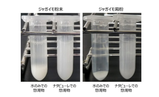 ナタデココをペースト化した新食品「ナタピューレ」を開発