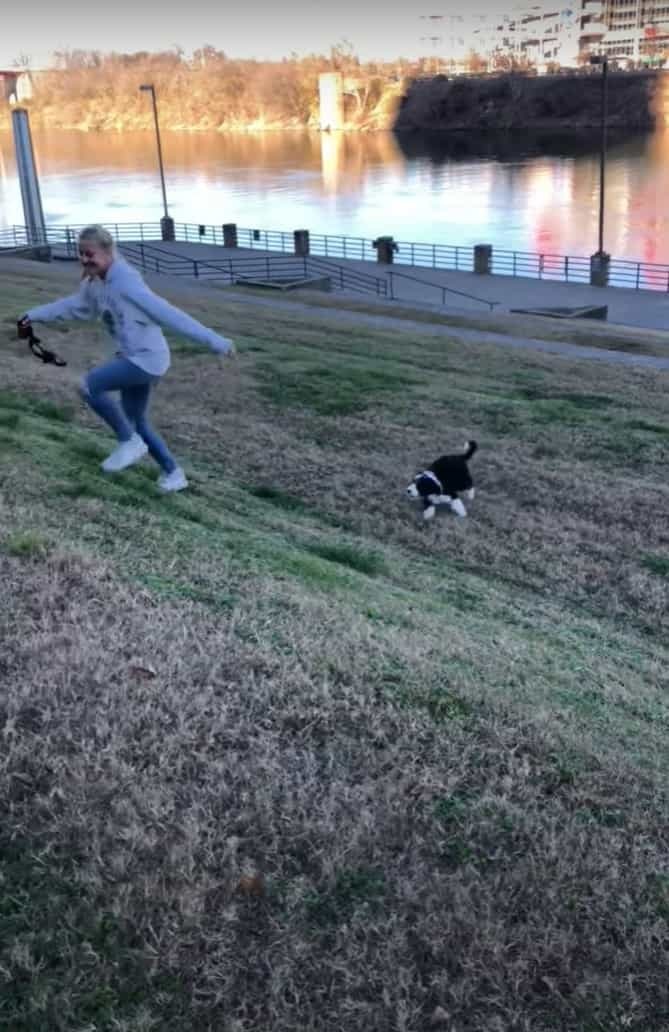 斜面の上にいる飼い主さんを追いかけようとした子犬。ところが、この子にはまだこの斜面は急すぎたようで・・・