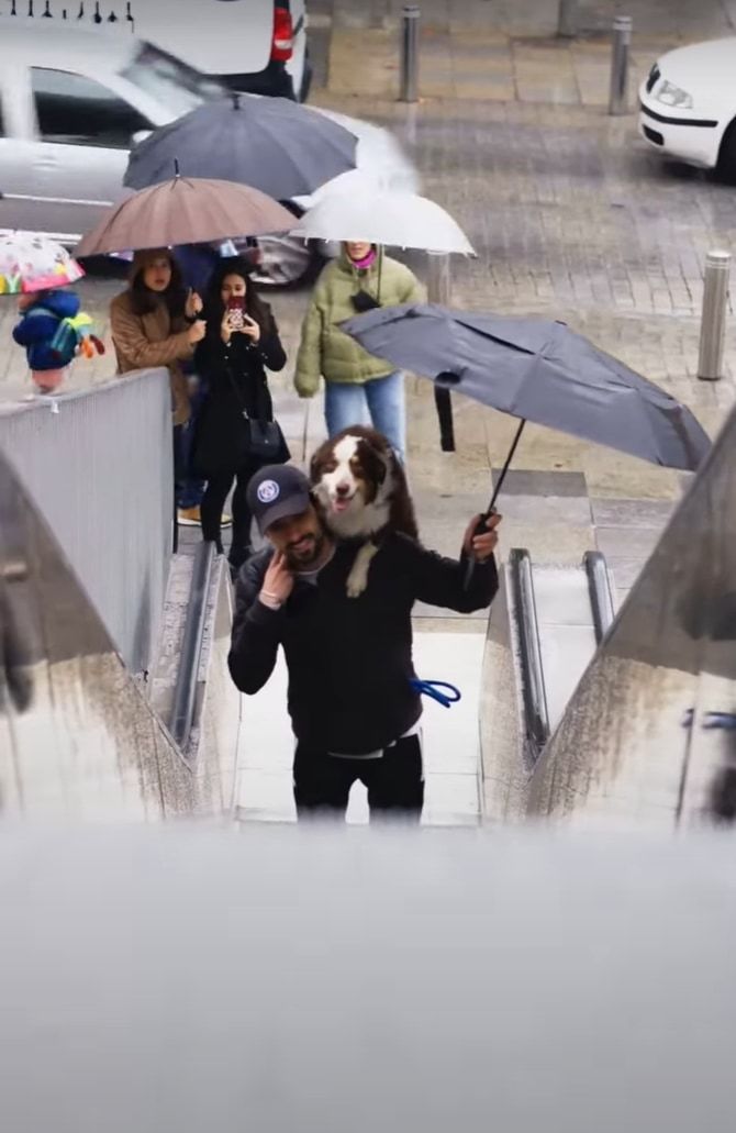 「雨が怖い！」そんな愛犬が濡れないようにと、飼い主さんは大きな体をおんぶしてあげ、自分が濡れるのも構わず傘を傾けてあげていました