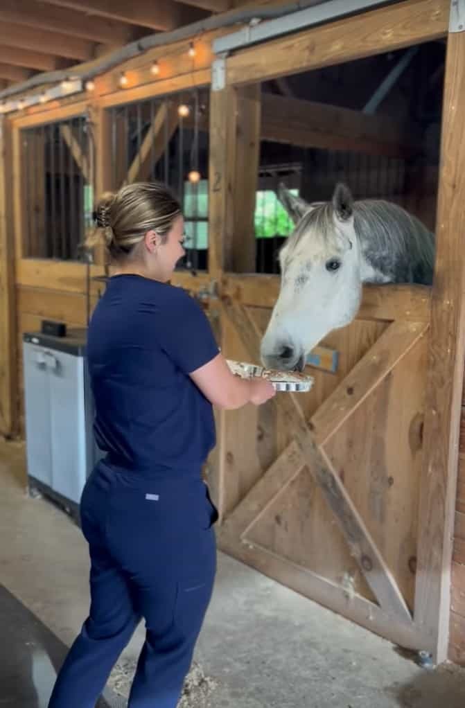 おやつをもらえて喜ぶ馬。頭を上下にシェイクさせるその姿は、まるでヘドバンをしているみたいです【アメリカ・動画】