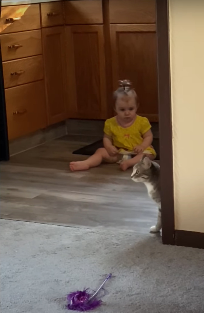 お互いビックリな初対面!猫がキッチンに行くと、そこに赤ちゃんがいて・・。しかもその瞬間、ふたりをさらに驚かせる出来事が!【海外・動画】