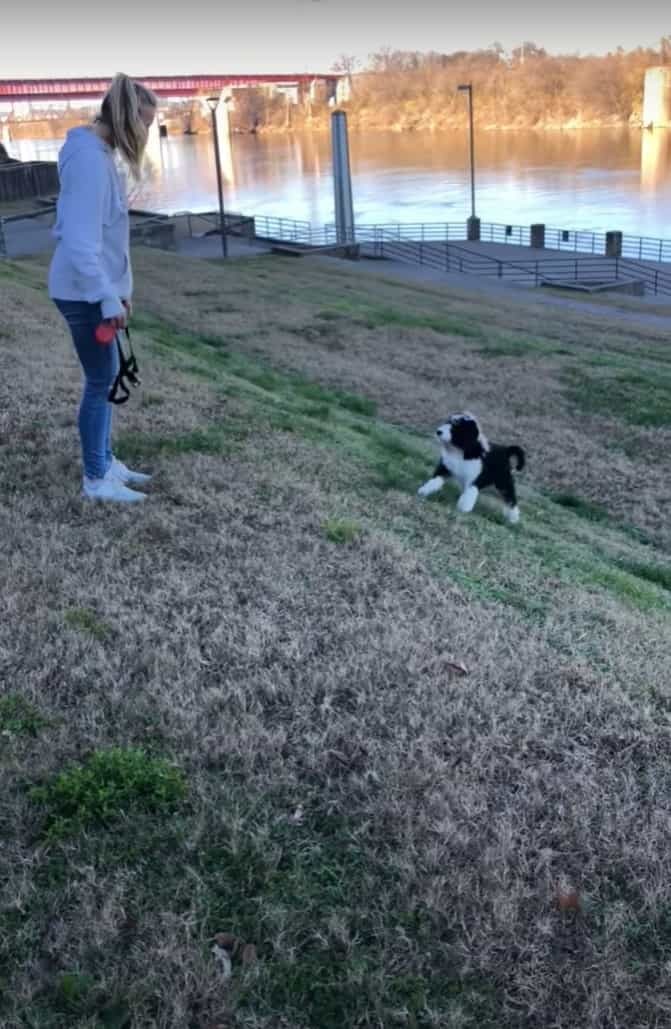 斜面の上にいる飼い主さんを追いかけようとした子犬。ところが、この子にはまだこの斜面は急すぎたようで・・・