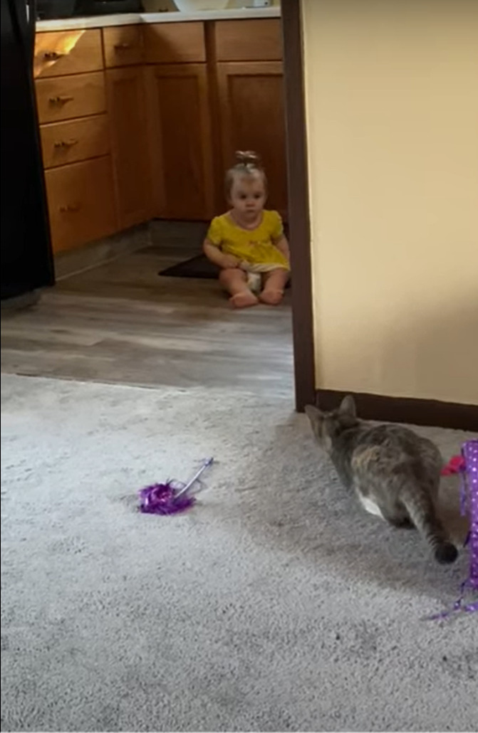 お互いビックリな初対面!猫がキッチンに行くと、そこに赤ちゃんがいて・・。しかもその瞬間、ふたりをさらに驚かせる出来事が!【海外・動画】