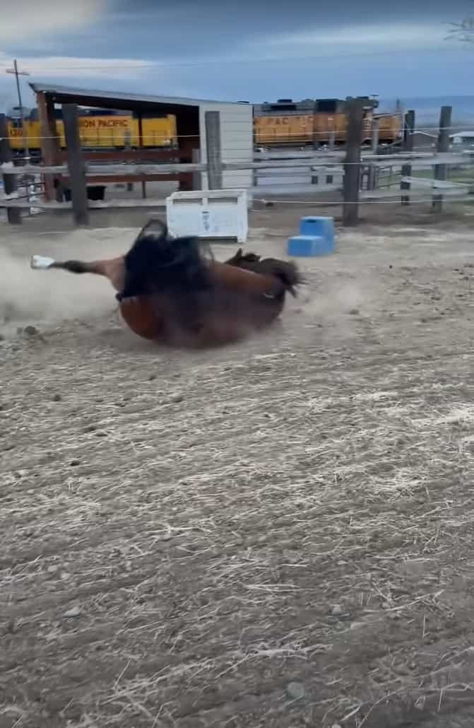 軽やかに、優美に走る馬。リズムカルに駆けるこの馬が、足を滑らせて転ぶだなんて・・・そんなことあるわけないじゃないですか