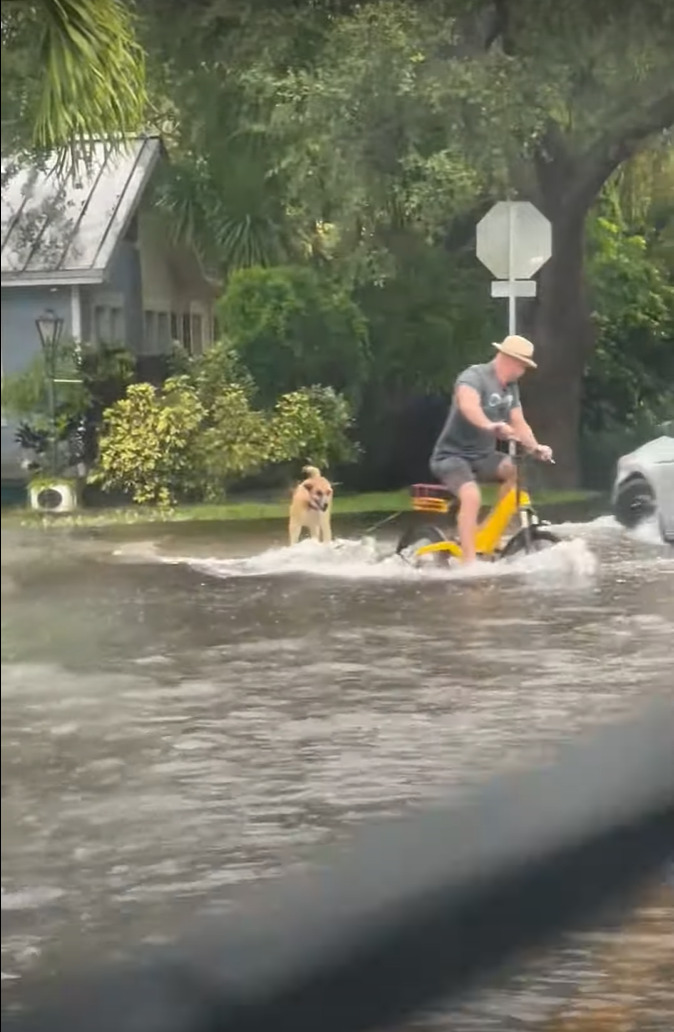 洪水になった街で・・。飼い主さんに連れられて、まさかのアクティビティをしている犬の姿がありました！！【アメリカ・動画】