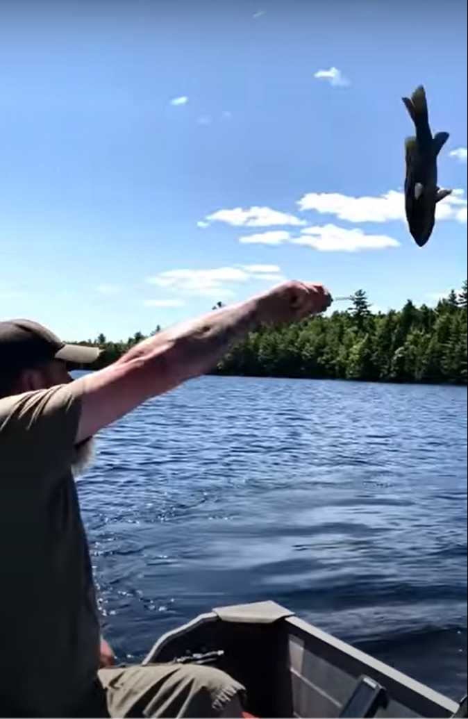 釣り人が魚を湖に向かって放ると・・、ハクトウワシがやって来た！見事に魚をキャッチすると、そのまま飛んでいくのでした【アメリカ・動画】