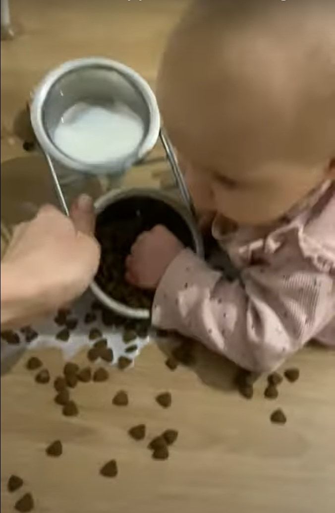 赤ちゃんが猫のご飯の入った容器を見つけて、ミルクやご飯こぼしちゃいました！！その様子を見ていた猫がなんとも言えない顔をしていました