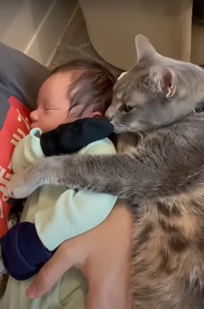 猫はすっかりお姉ちゃんになった気分?赤ちゃんに添い寝をしたり、優しくギュッと抱きしめたり・・大好きで仕方がないみたい!!【アメリカ・動画】