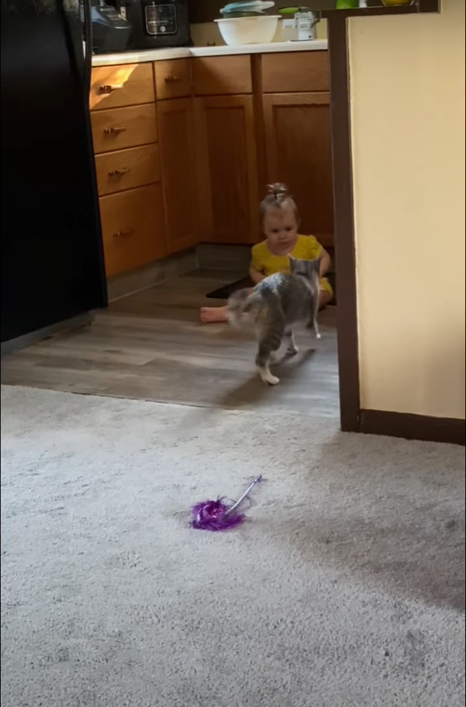 お互いビックリな初対面!猫がキッチンに行くと、そこに赤ちゃんがいて・・。しかもその瞬間、ふたりをさらに驚かせる出来事が!【海外・動画】