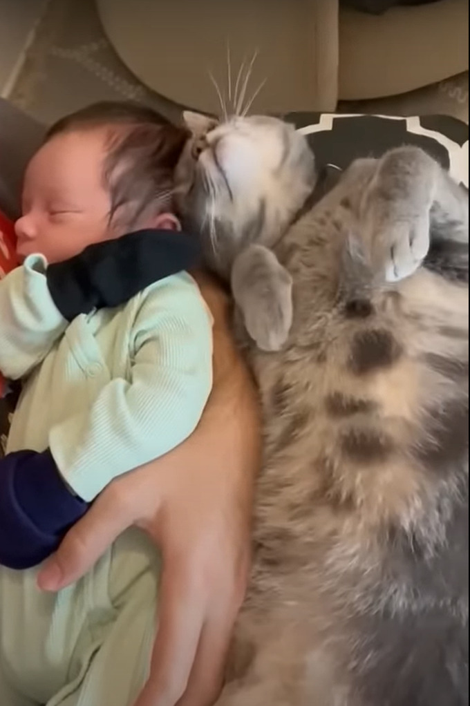 猫はすっかりお姉ちゃんになった気分?赤ちゃんに添い寝をしたり、優しくギュッと抱きしめたり・・大好きで仕方がないみたい!!【アメリカ・動画】