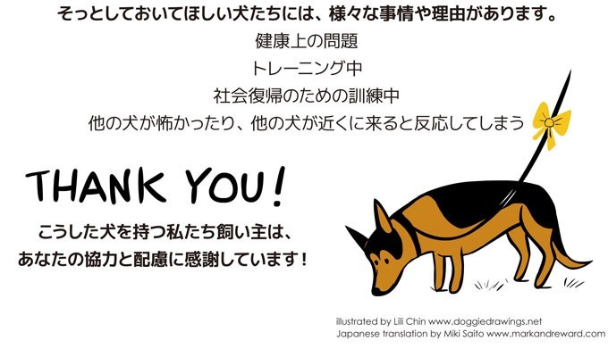 知っていましたか？黄色いリボンの犬を見かけたらそっと見守ってください