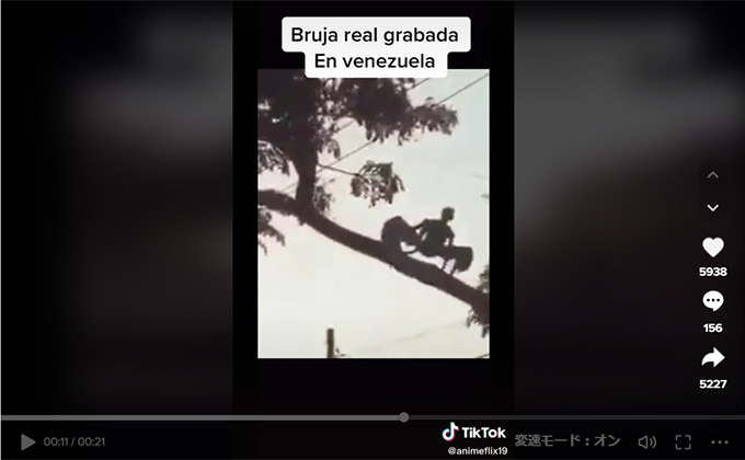 フィリピンでコウモリ型UMAが撮影される!? Twitterで大騒動、怪物の正体に迫る!