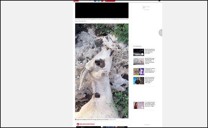 UMAチュパカブラの仕業か？ 目がくり抜かれた羊の死体がメキシコで発見される！