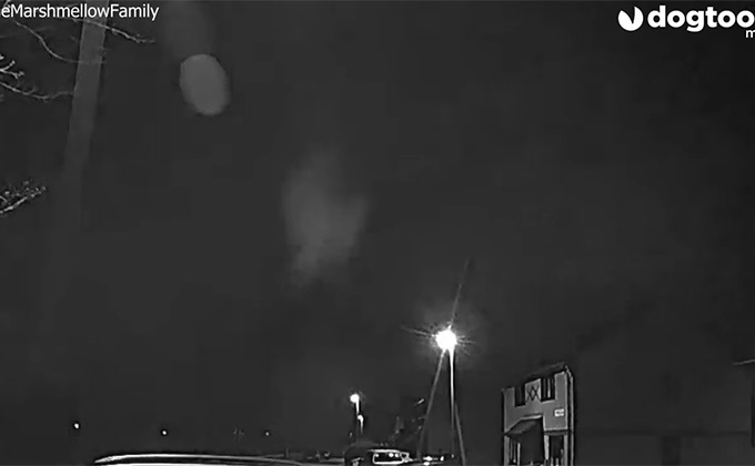 羽ばたく天使が撮影される？ 玄関カメラに映った奇妙な飛行物体＝英