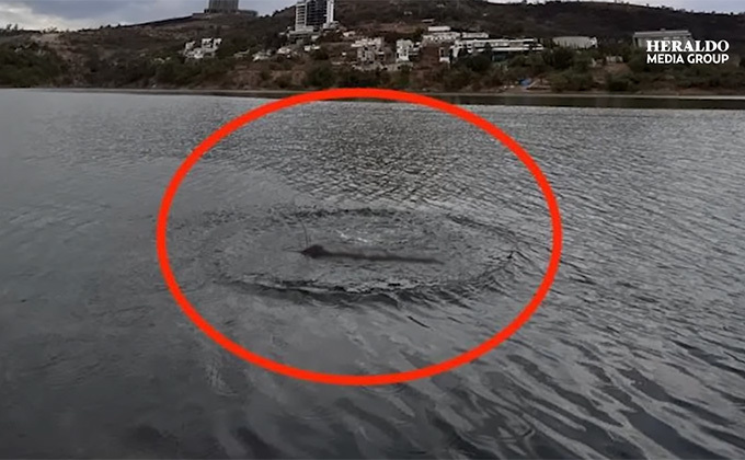 ダム湖に伝説の「恐竜UMA」が出現! 証拠写真に市役所も驚愕、警察がパトロールを開始=メキシコ