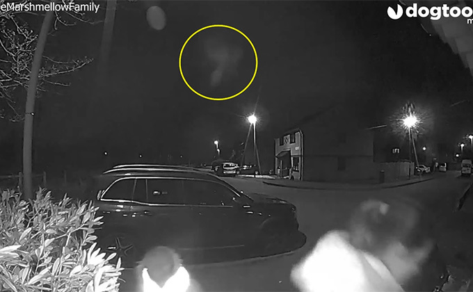 羽ばたく天使が撮影される？ 玄関カメラに映った奇妙な飛行物体＝英