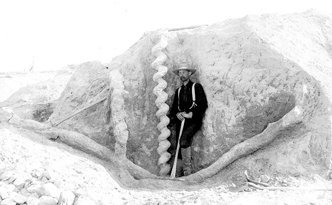 ネブラスカの巨大らせん「悪魔のコルク栓抜き」とは!? 3000万年前の超古代文明が関与? 予想外の作成者に仰天