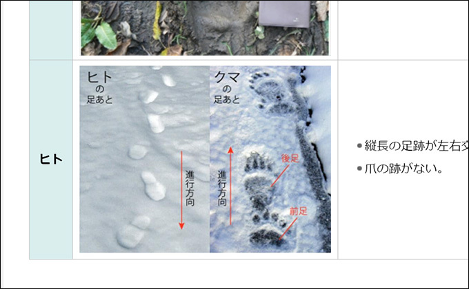 人間の倍の大きさ「ビッグフットの足跡」を発見か？ 他の足跡と比較、ある特徴を発見