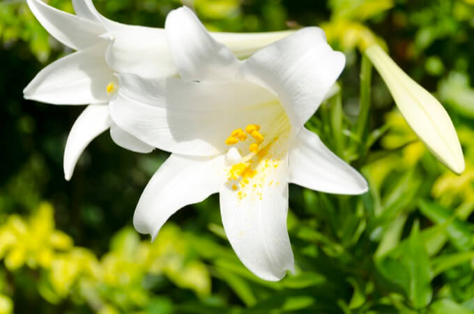 植物状態の女性を霊視してわかった衝撃のメッセージとは? 人は自ら死期を選ぶのか