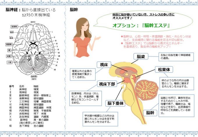 「脳と目に見えない世界の関係」を話題の悟り系霊能者が解説！ 多重人格と霊障の意外な関連性も…