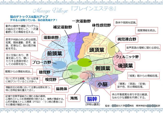 「脳と目に見えない世界の関係」を話題の悟り系霊能者が解説！ 多重人格と霊障の意外な関連性も…