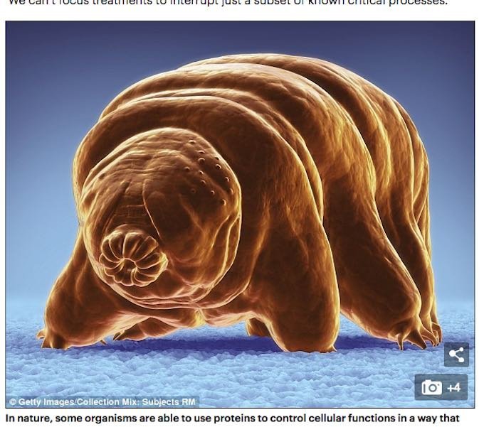 人間の「生物学的時間」を遅くする “人類クマムシ化”延命法とは（DARPA）