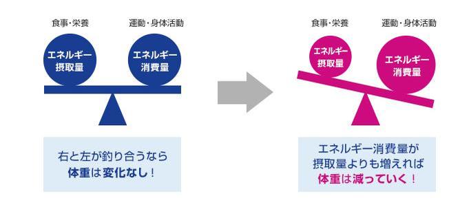 スクワットダイエットは毎日やるの？やり方・効果を事例を元に徹底解説！