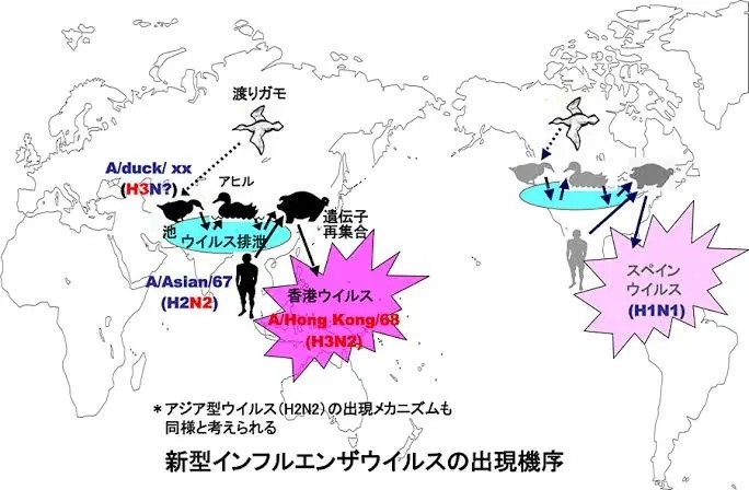 インフルエンザ激減はマスクや手洗いのせいではない理由