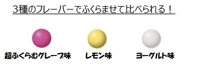 従来の「ふ～せんの実」よりも2倍膨らむ⁉超ふくらむグレープ味入り！「ふ～せんの実ボトル ワクワクみっくす！」2023年9月5日（火）全国で発売！