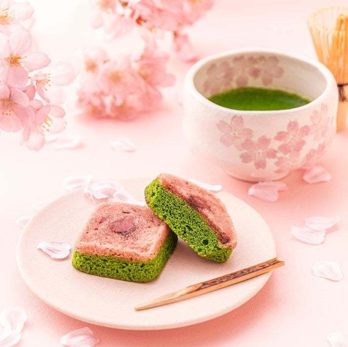 【桜と抹茶が織りなす「春スイーツ」特集】売り切れが絶えない幻のスイーツ「Petitパフェ花咲」等、4月下旬まで味わえる限定商品を販売中！