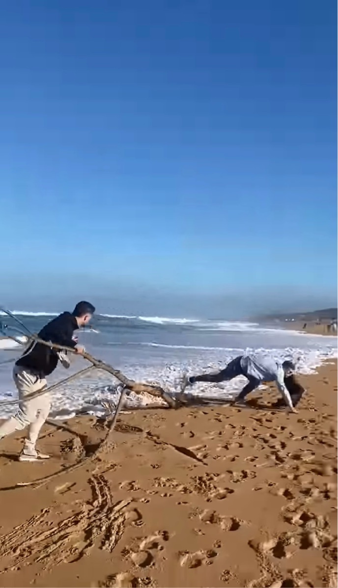 波打ち際で夢中になって遊んでいたら・・。ピンチがすぐそばまで迫り来てあたふたとパニック！！【海外・動画】