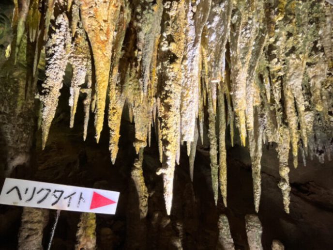 【球磨郡球磨村】3億年の神秘が目の前に！リニューアルした「球泉洞」に行ってきた！