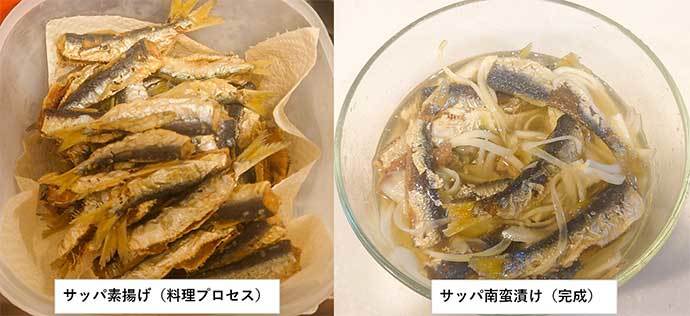 碧南釣り広場でのサビキ釣りでサッパ69匹　夜明けの時合いに入れ食い