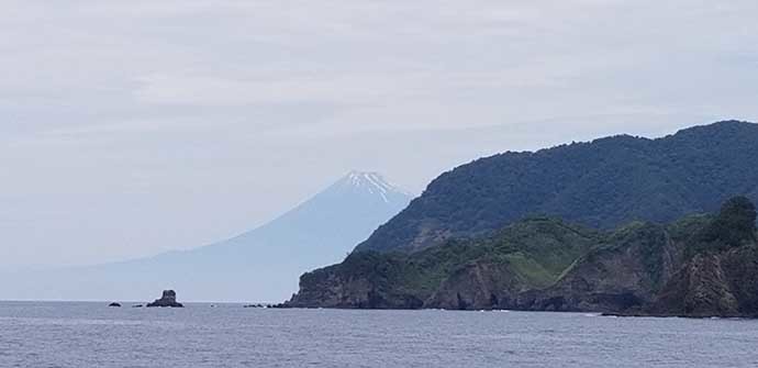 磯フカセ釣りで38cm頭にメジナ好釣　小サバ不在で肩透かし？【静岡】