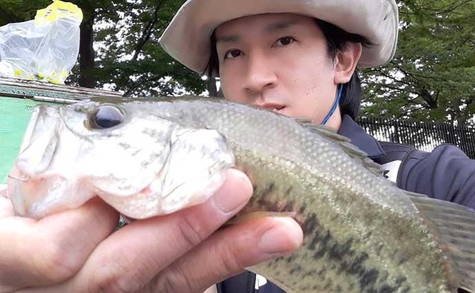 都内の公園でブルーギルの数釣り堪能　魚影抜群で2時間強で100匹超え