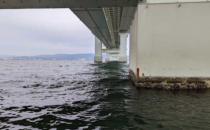 ボートでのメバル釣りで尺メバル2匹浮上　サビキとジグにヒット