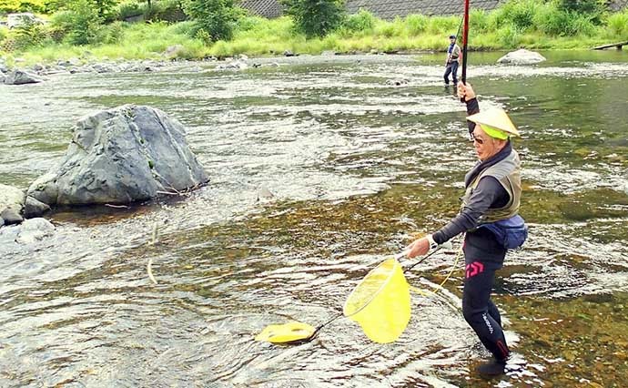 解禁日の葛川アユ友釣りで16匹 各人気エリアの状況もレポート