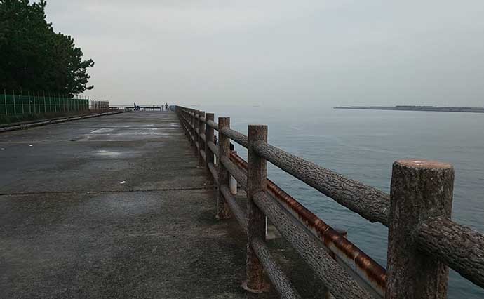 関西エリア「陸っぱりタチウオ」超入門：大阪湾おすすめ釣り場８選