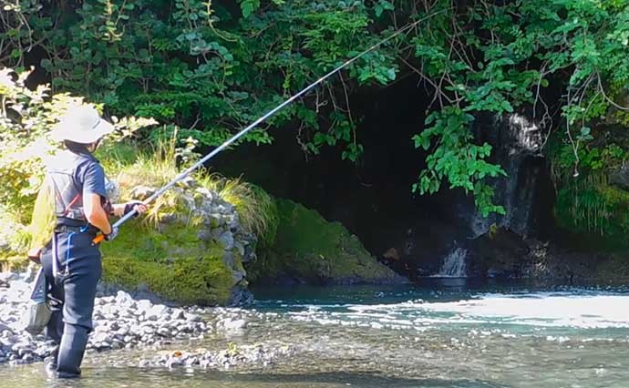 渓流エサ釣りで40cm超えニジマスに32cm尺上イワナ【山梨・桂川】