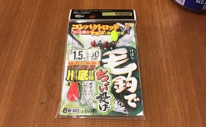 「落とし毛針釣法」でタカハヤ12匹　羽虫の量が増えたら毛針が有効？