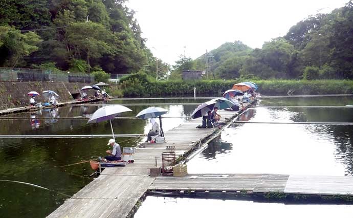 管理釣り場で夏のヘラブナと遊ぼう　エサ＆仕掛け解説【大阪・FC竹の内】